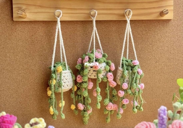 String Of Pearls.jpg