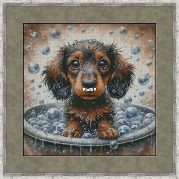 Bath day.jpg