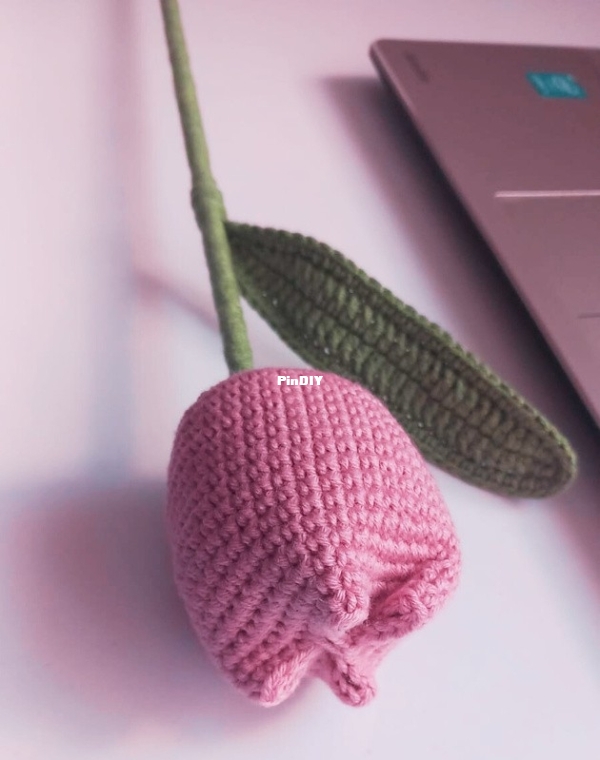 Tulip.jpg
