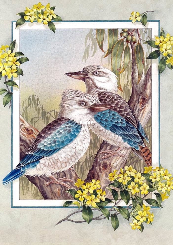 blue winged kookaburra.jpg