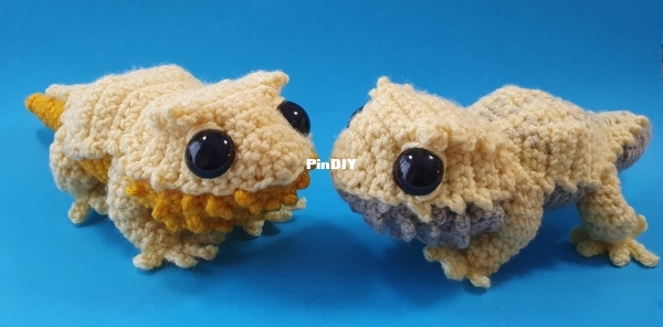 Complicated Knots - Kylie Slee - Bearded Dragon.jpg