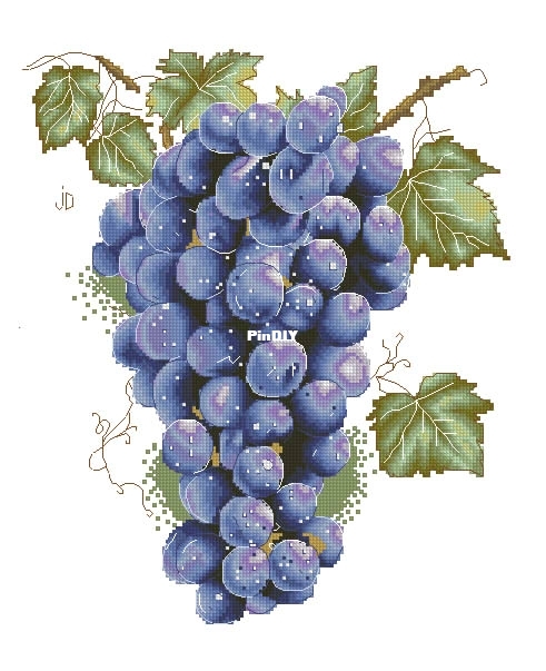 A bunch of grapes pm.jpg
