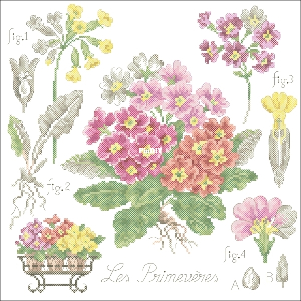 Les Brodeuses Parisiennes LBP - Etudes botaniques Les primevères.jpg