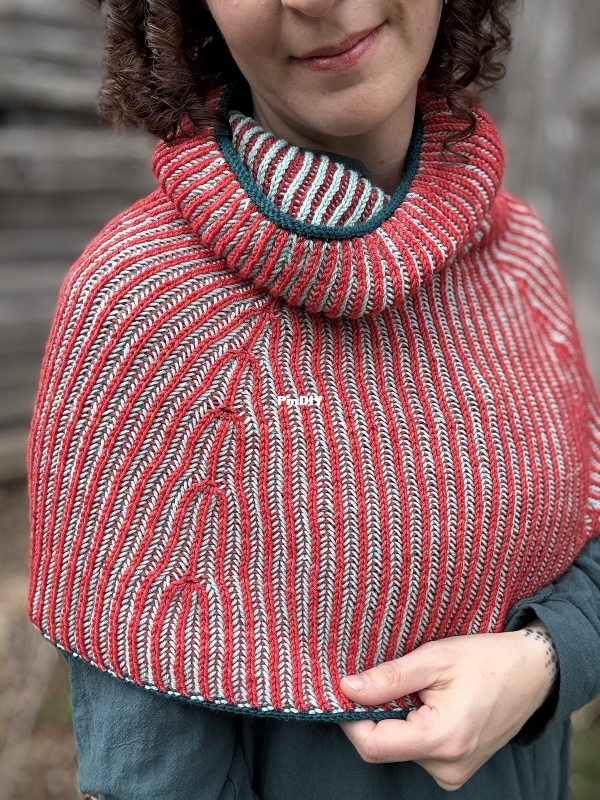 Stormsinger Shoulder Cozy.jpg
