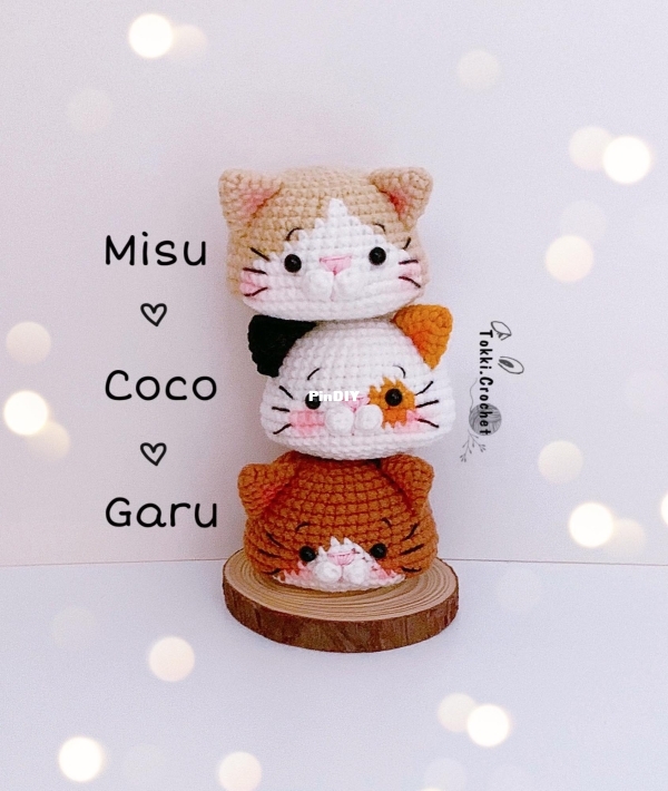 Misu Coco Garu 1.jpg