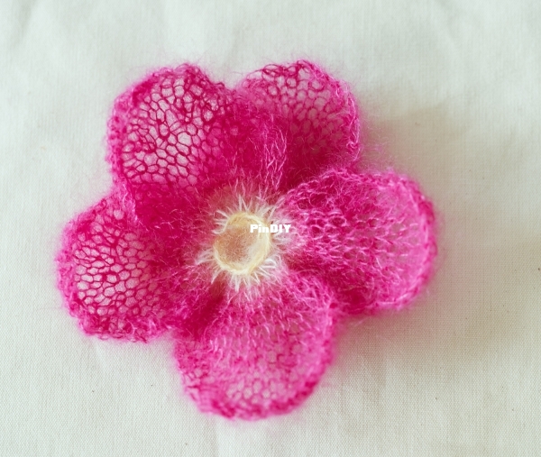 beach-rose01.jpg