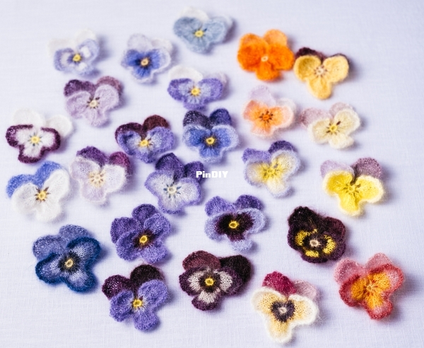 viola-all-02-2.jpg