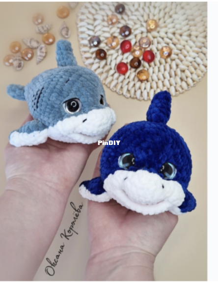 Little shark 