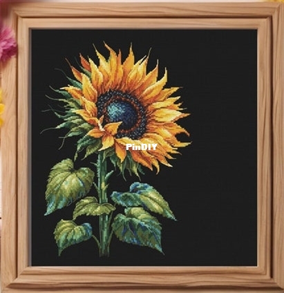 Sunflower.jpg