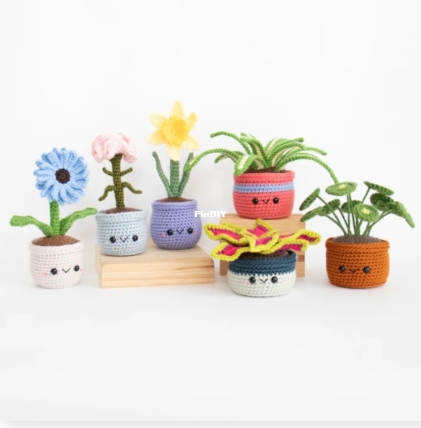 House Plants and Flowers Bundle Volume 1