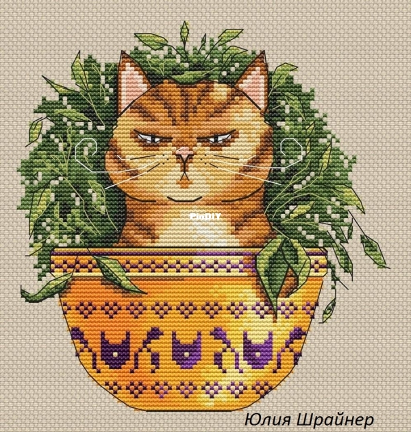 Юлия Шрайнер.jpg