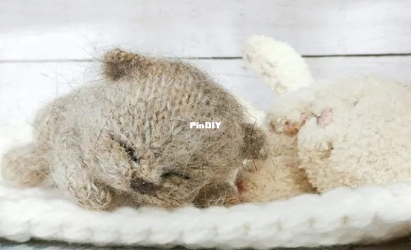 sleeping kitten 1.jpg