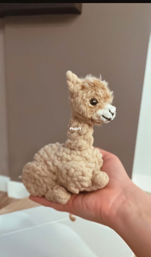 Ssquared Creations CA - Jessica Schiedel - Cardi The Teenie Cria.jpg