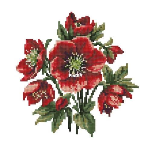 Red helleborus pm.jpg