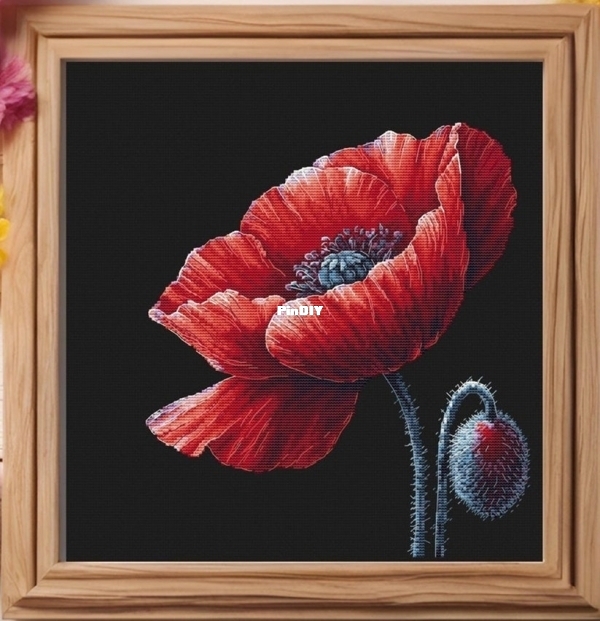 Poppy.jpg