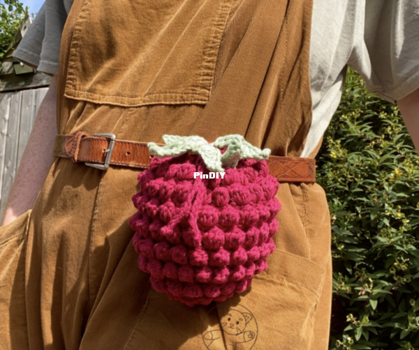 Raspberry trinket bag image.png