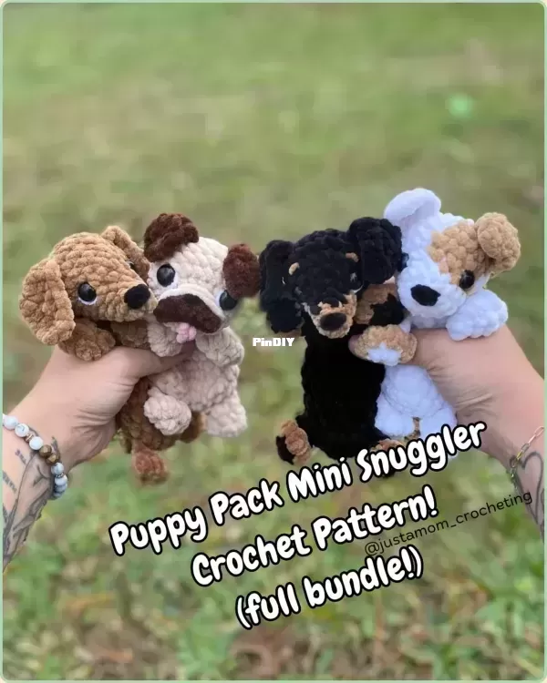 dog.webp