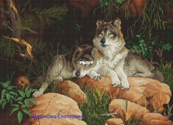 Мешкова. волки.jpg