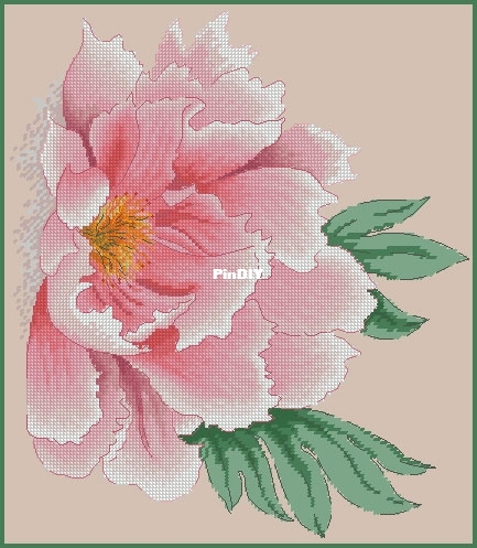 Pion by Natalia Cherepanova.jpg