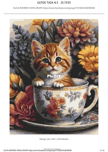 pic small.jpg