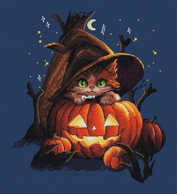 Хеллоуинский котик 1.jpg