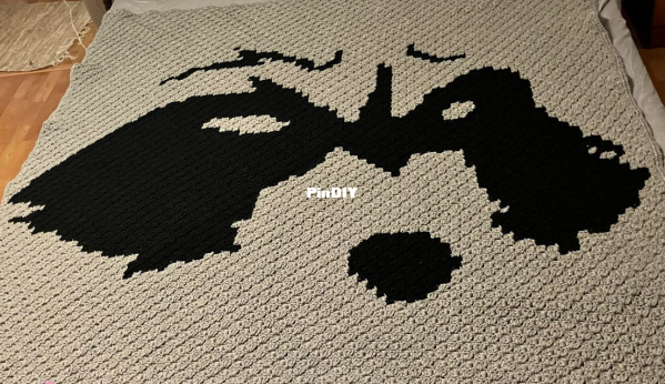 raccoonglimpse.png