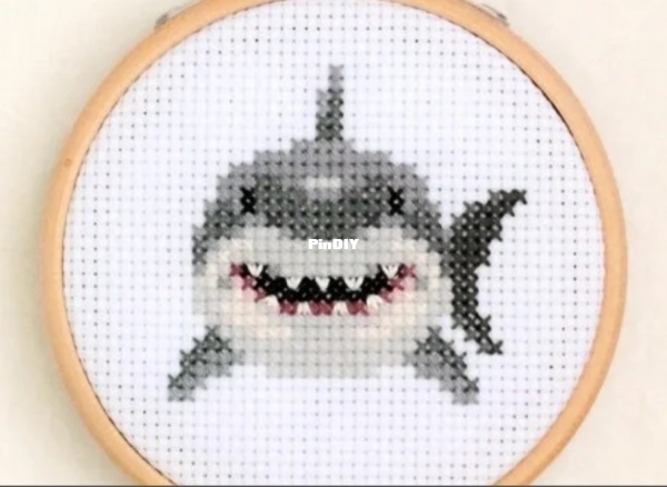 La Selva Design - Shark.jpg