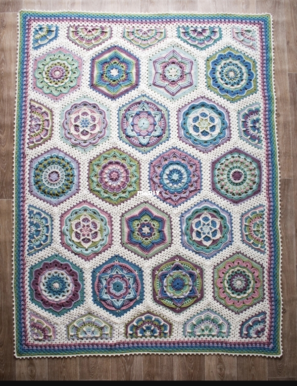 1000026413.jpg
