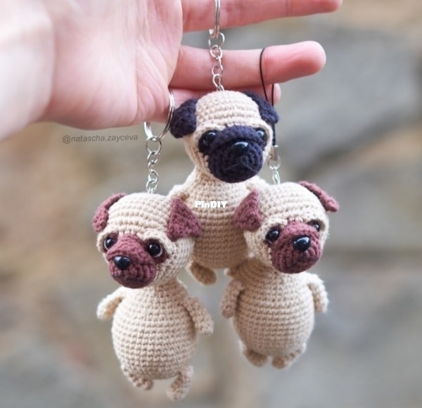 pug.jpg