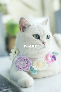 craft code corner pet collar 2.png