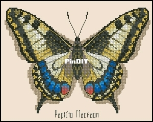 Papilio Machaon.jpg
