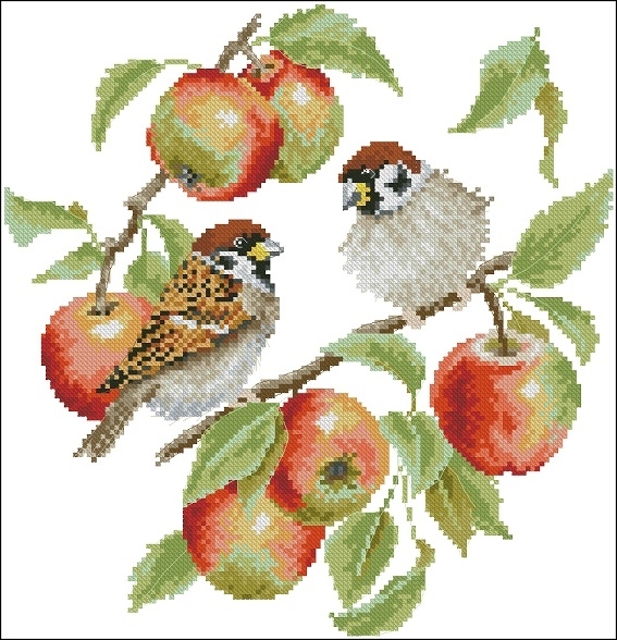 Wrendale Designs - Sparrows and Apples - TWOCS 363 XSD.jpg