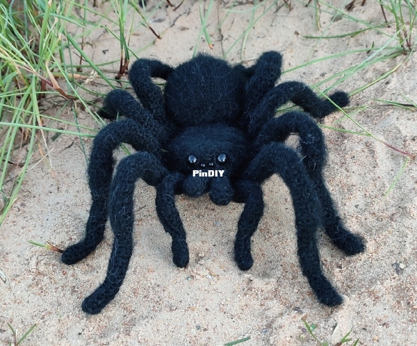 tarantula2.jpg