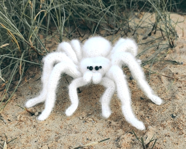 tarantula3.jpg