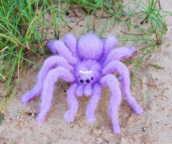tarantula4.jpg