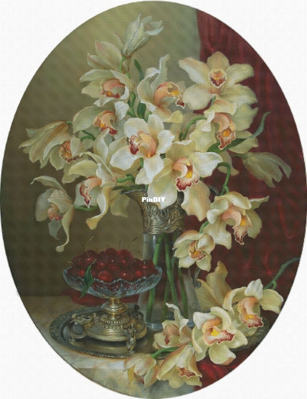 White Pink Cymbidium.jpg