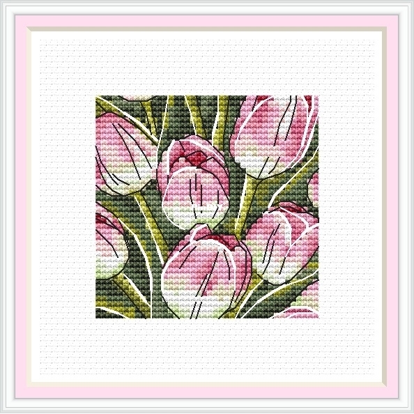 Delicate tullips.jpg