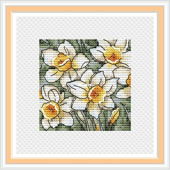 Spring daffodills.jpg
