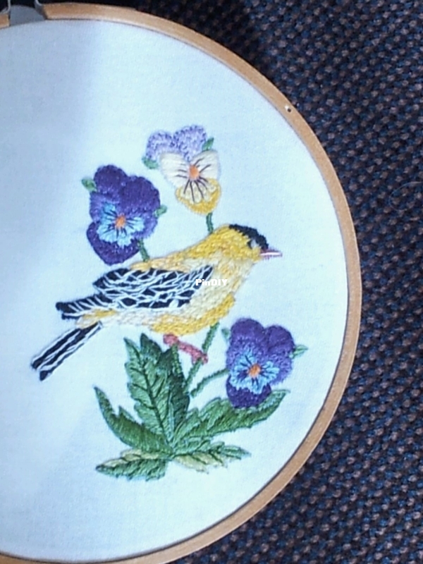 Birdie.jpg