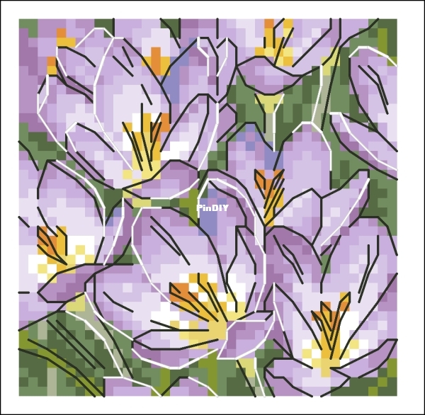 Lavender saffron.jpg