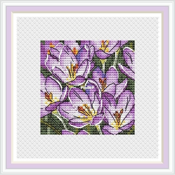 Lavender saffron-o.jpg