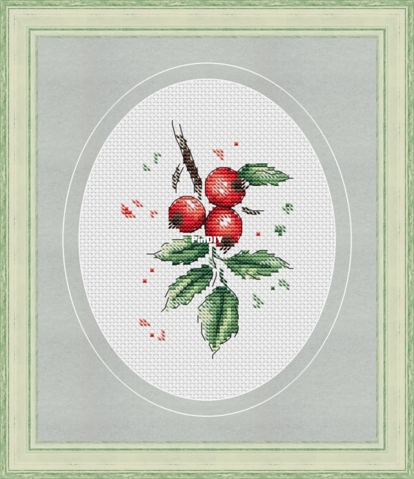 Red berries.jpg