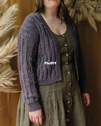 Winnow Cardigan.png
