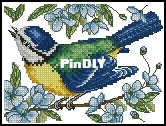 Anchor PCE204 Blue Tit.jpg