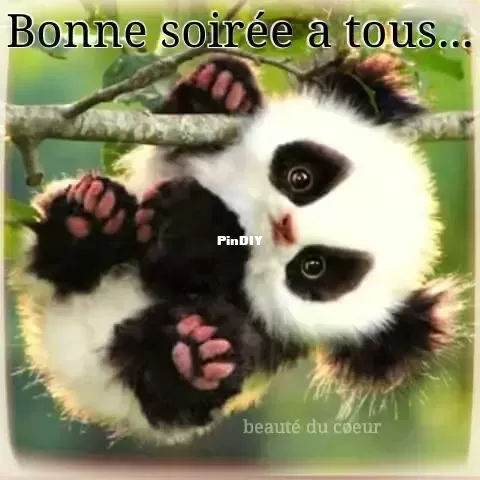 bonne-soiree_159.webp