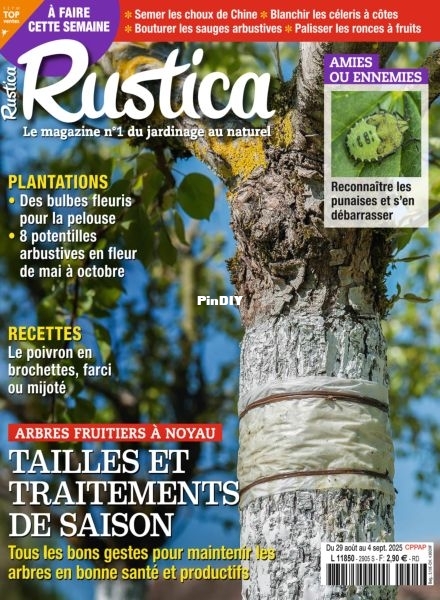 Rustica-29-Aout-2025.jpg