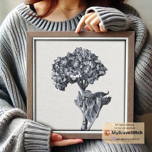 Black And White Hydrangea.jpg