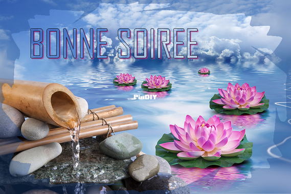 img-24230729d96.png