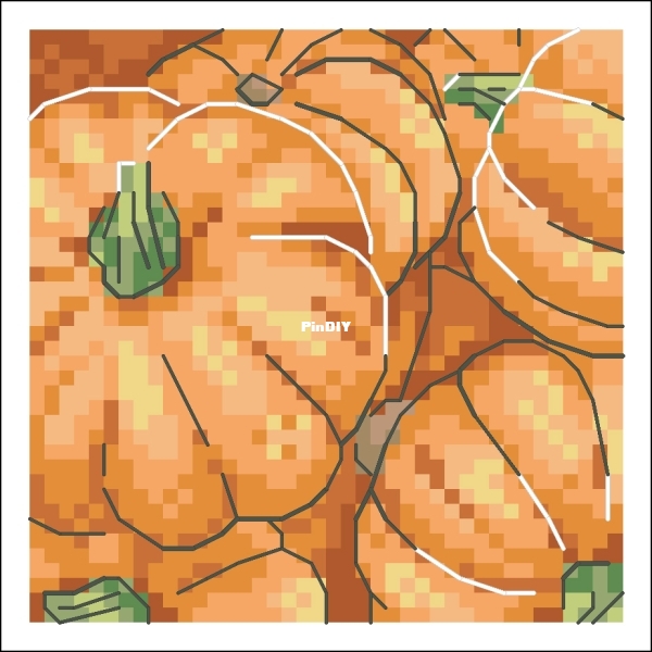 Bright Colors - Sunny pumpkin.jpg
