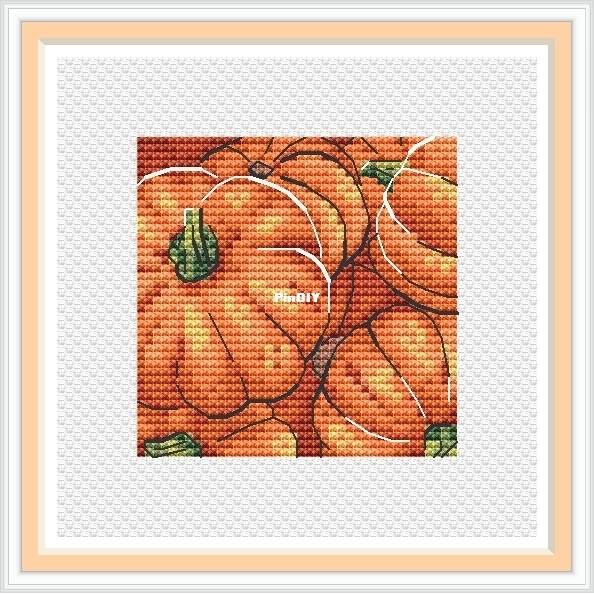 Bright Colors - Sunny pumpkin-o.jpg
